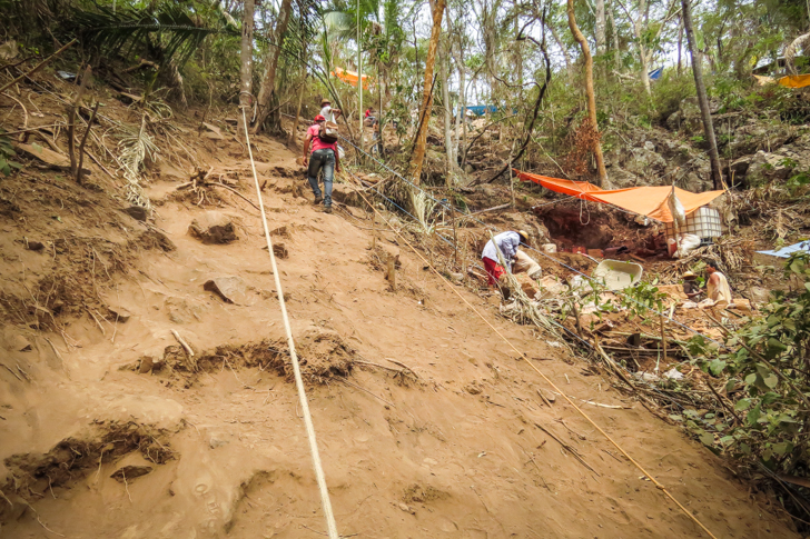 CRIME AMBIENTAL: Com licença falsa, grupo 