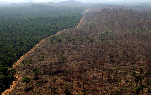 Desmates criminosos aceleram na Amazônia e transformam Brasil em vilão da comunidade internacional; País sofre perdas econômicas