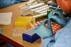 ATUALIZAÇÃO DA EPIDEMIA: Mato Grosso registra 393.254 casos e 10.646 óbitos por Covid-19 neste sábado (22)