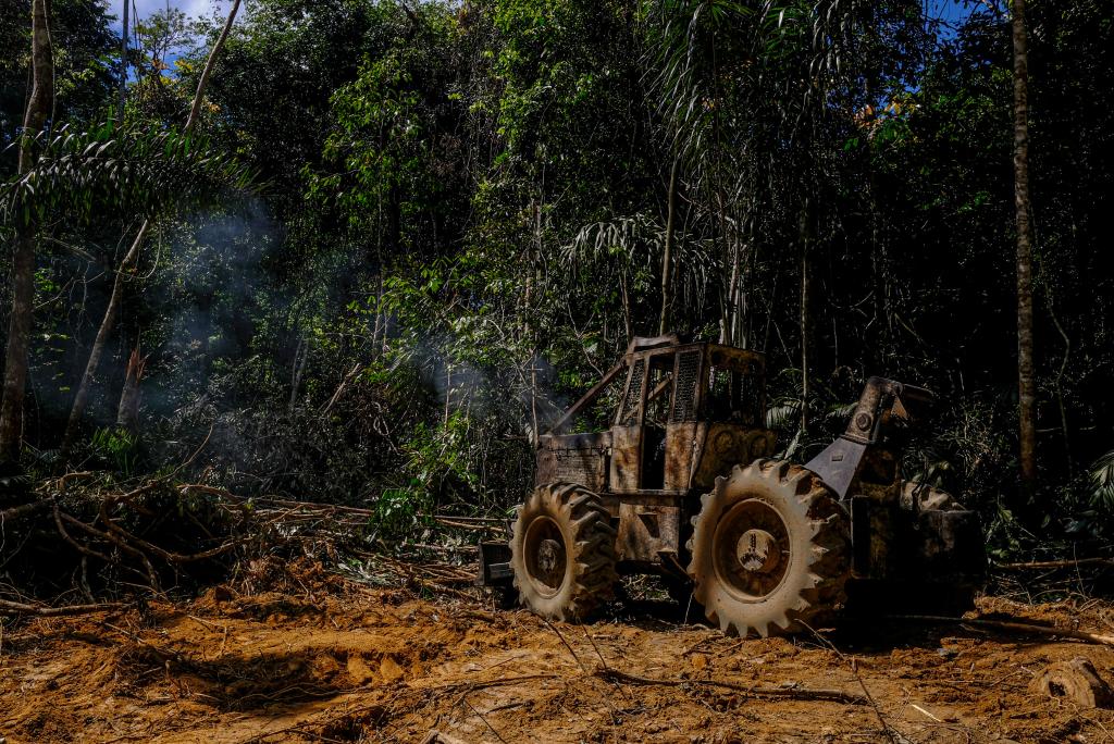 TOLERÂNCIA ZERO: Governador lança mais uma etapa da Operação Amazônia contra crimes ambientais