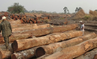 O PREÇO QUE TODOS PAGAM: Derrubadas dão lucros a madeireiros e desmatadores, mas implicam em menos chuvas e tarifas mais caras de energia