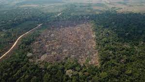 CRIMES AMBIENTAIS: Dados do Deter e do Inpe alertam para novo recorde de desmate na Amazônia