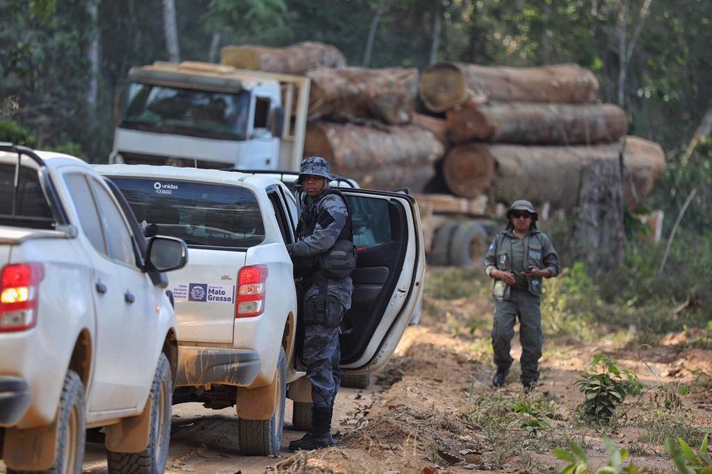 CRIME AMBIENTAL:  Operação conjunta liderada por forças de MT 