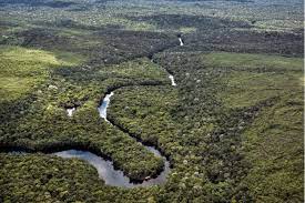 MEIO AMBIENTE: G20 defende que países devem recuperar solos degradados e ter gestão sustentável da água alinhado às metas da Agenda 2030.