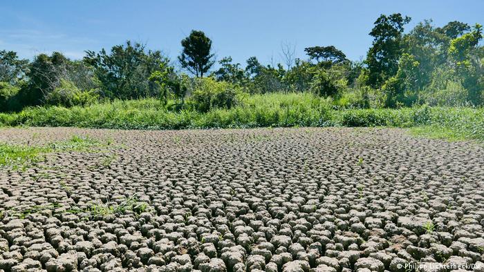 BIOMA AMEAÇADO: Pantanal do MS e MT enfrenta a maior seca em mais de 50 anos