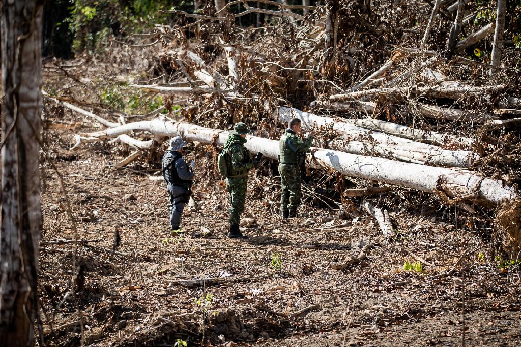 OPERAÇÃO AMAZÔNIA: Fiscalização ambiental do Estado de Mato Grosso aplicou R$ 979 milhões em multa nos 7 primeiros meses do ano
