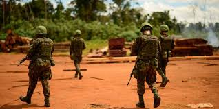 CRIMES AMBIENTAIS: Governo do Pará pede apoio de militares para combater desmatamento em terras estaduais