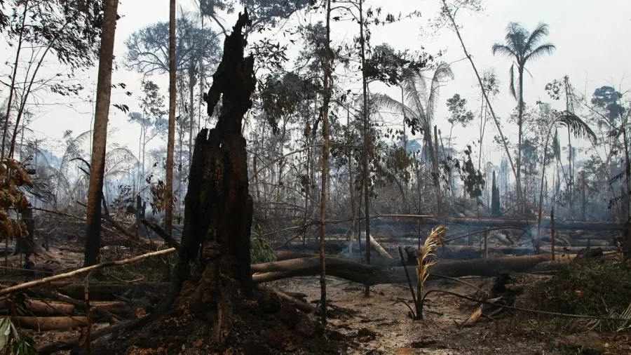 Repórter percorre 2.400 Km na Amazônia e não encontra nenhum tipo de fiscalização para barrar desmatamentos, e ainda é ameaçado de morte por fotografar queimadas