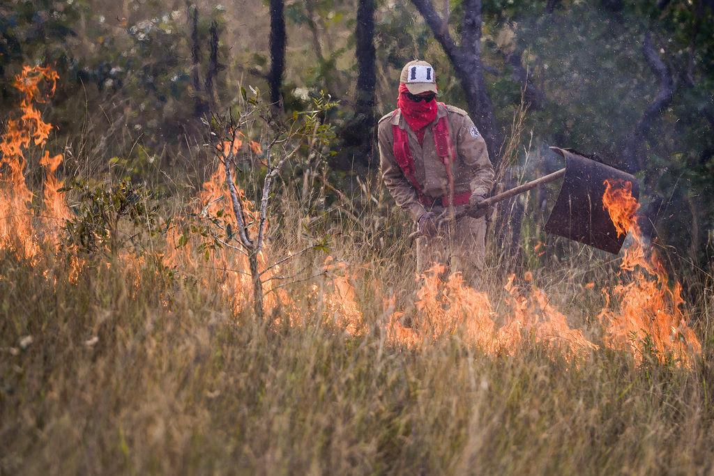 TOLERÂNCIA ZERO:  Queimadas ilegais de áreas geram multas de R$ 3,4 milhões para 7 fazendas em MT