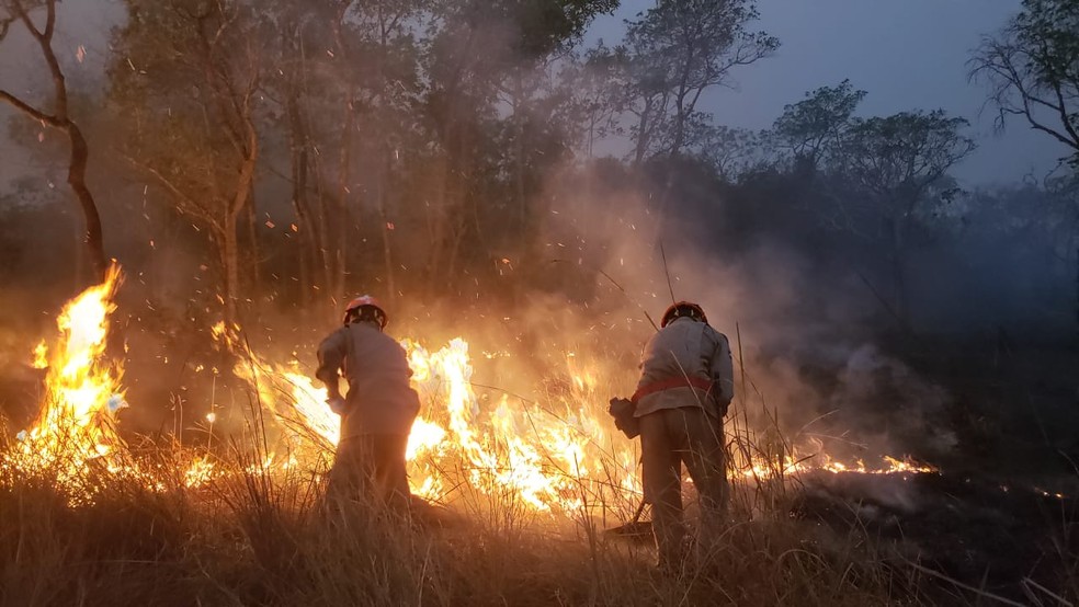 DESASTRE AMBIENTAL: Mais de 1 milhão de hectares do Pantanal de MT e do MS já foram destruidos pelas chamas