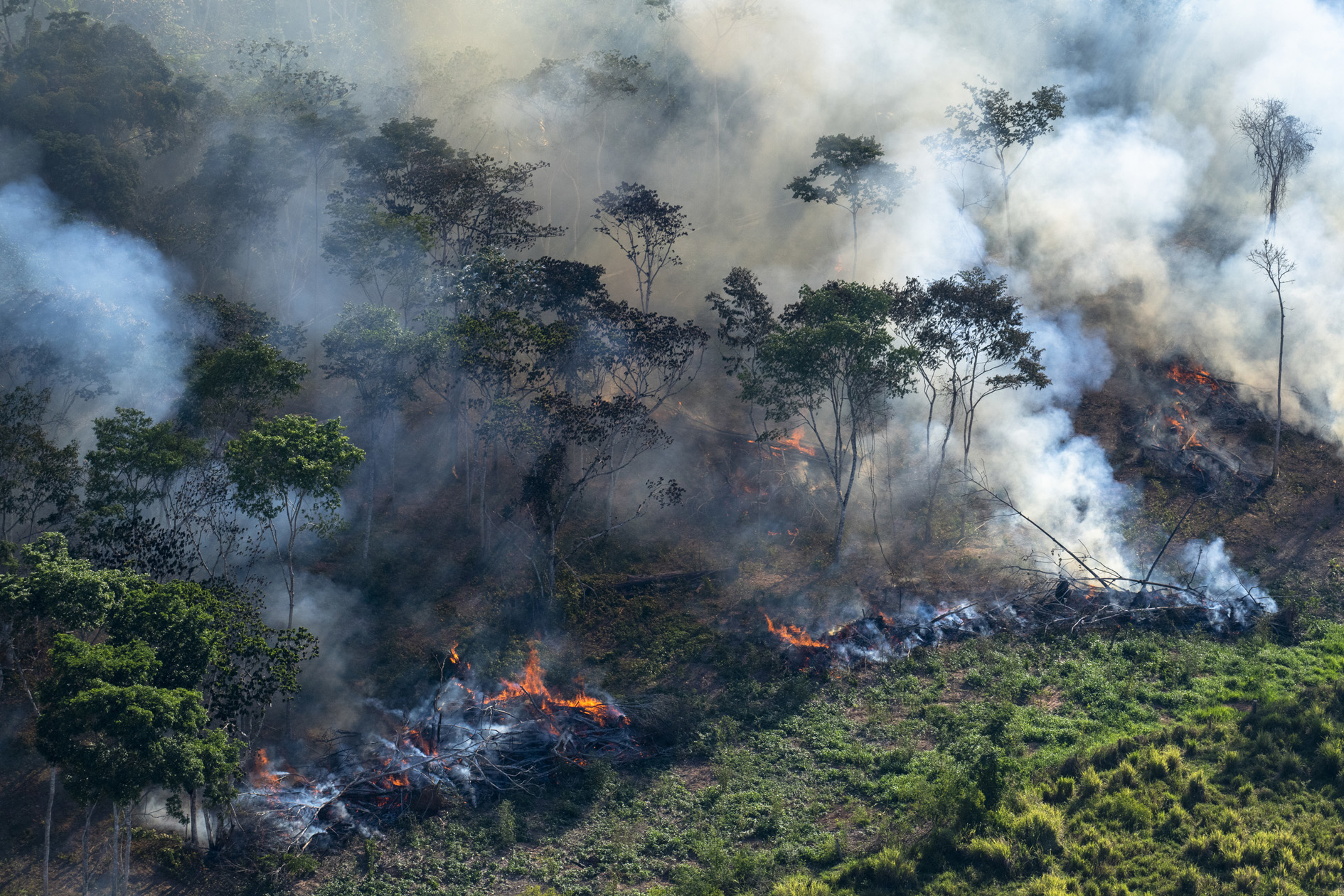 Empresários temem que Brasil se torne pária ambiental devido negacionismo de Bolsonaro com 