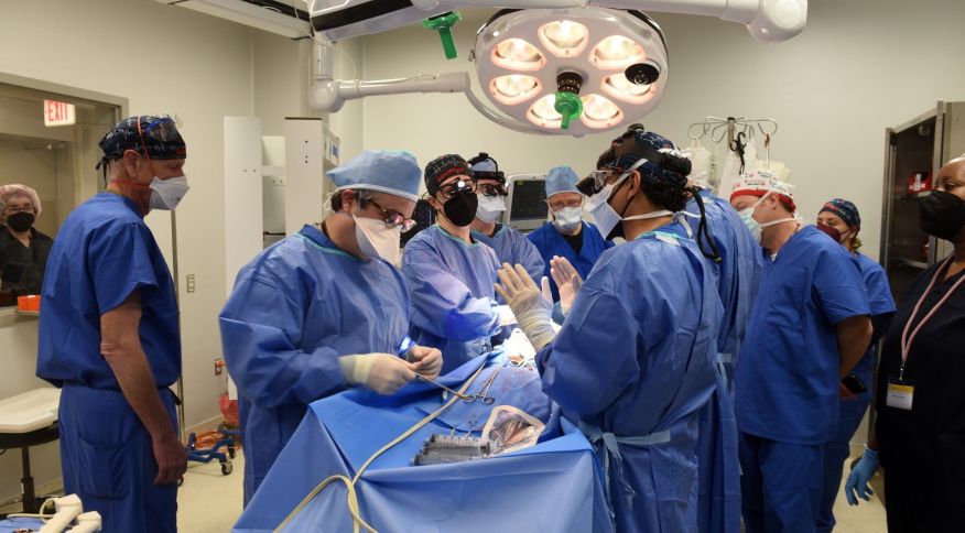 CIRURGIA COMPLEXA: Homem recebe transplante de coração de porco e passa bem