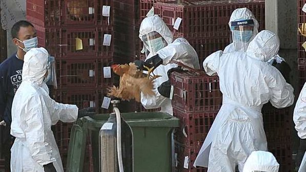  GRIPE:  MT e 10 estados já registraram mortes pela variante H3N2 da influenza 